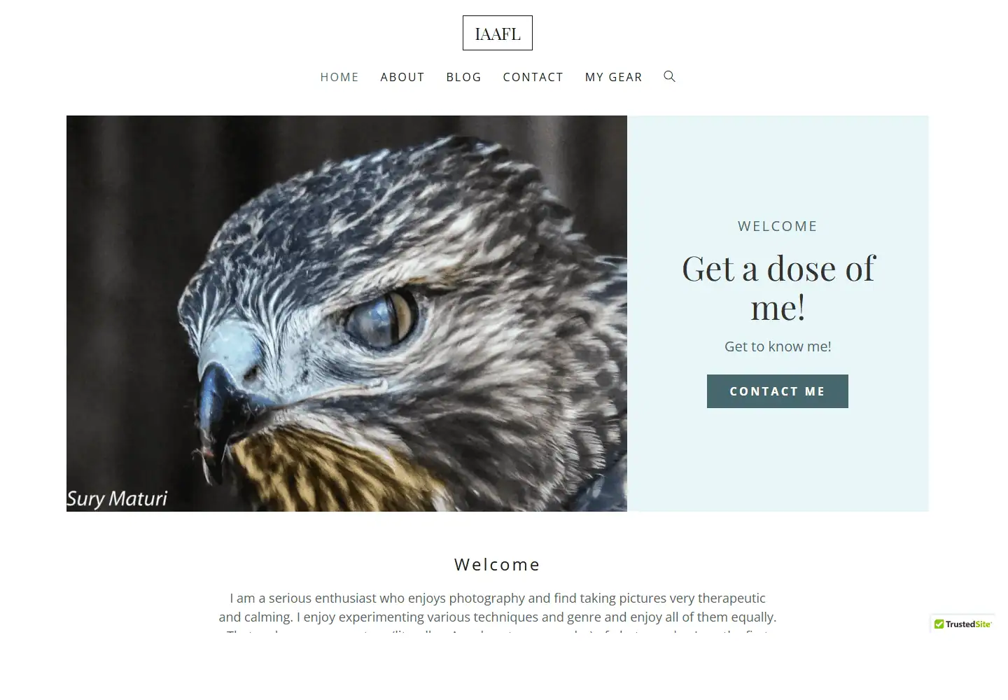 IAAFL website homepage screenshot