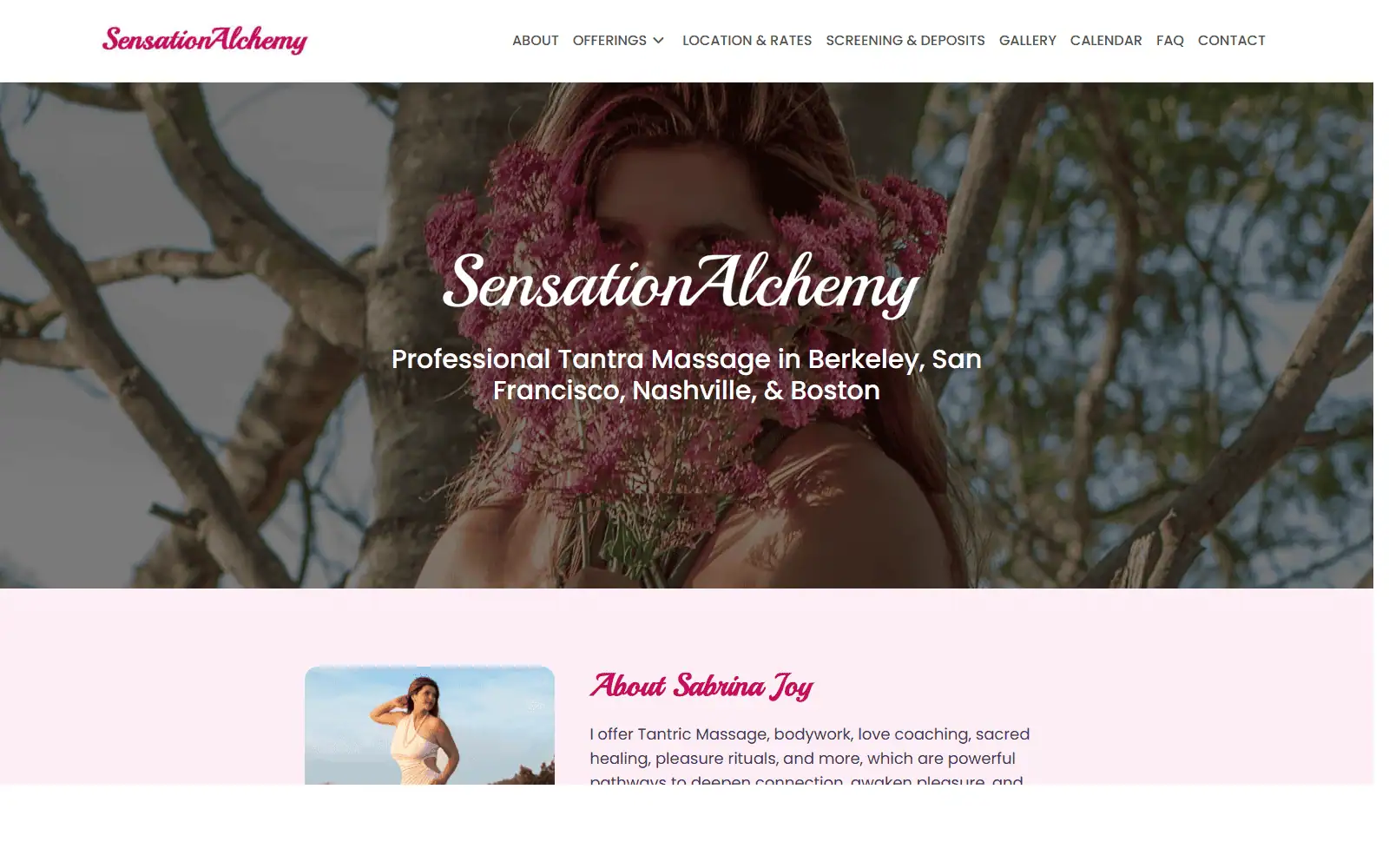 Sensation Alchemy website homepage screenshot